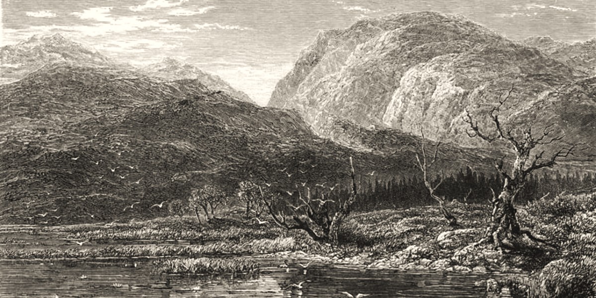 Nan Shepherds grossartige Naturpoesie