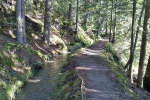 Bisse d'Ayent