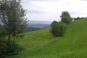 Wanderung Frienisdorf - Meikirch
