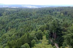 Aussicht vom Chutzenturm