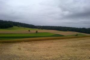 Wanderung Frienisdorf - Meikirch