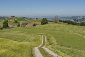 Abstieg von Saul nach Steigershus