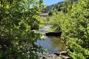 Rotbach bei Bühler