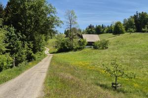 Oberhalb von Steigbach