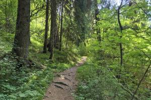 Aufstieg nach Parnegl