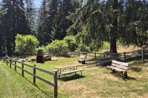Rastplatz Plam Pedra Purtgera