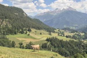 Muldain, Blick zum Piz Mitgel