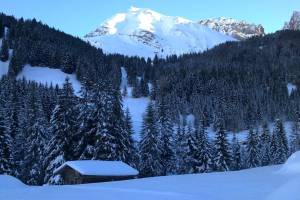 Winterwanderung Adelboden - Bunderle