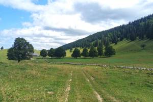 Les Limes du Haut
