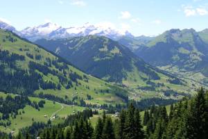 Wanderung Rinderberg - Horneggli