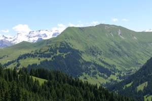 Wanderung Rinderberg - Horneggli