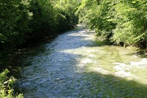 Schwarzwasser