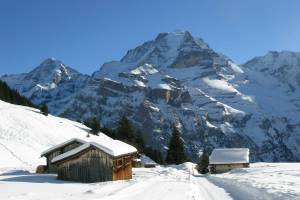 Winterwanderung Mürren - Allmendhubel
