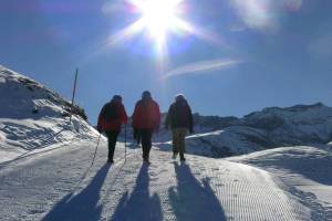 Winterwanderung Lenk/Betelberg