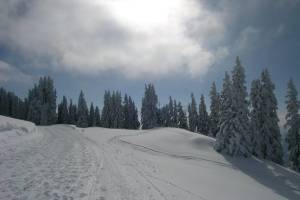 Winterwanderung Gstaad/Wispile - Gsteig
