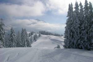 Winterwanderung Gstaad/Wispile - Gsteig