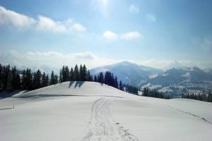 Winterwanderung Sparemoos