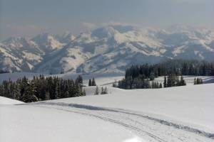 Winterwanderung Sparemoos