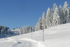 Winterwanderung Jaunpass - Bäderegg