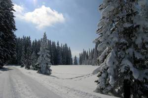 Winterwanderung Sparemoos