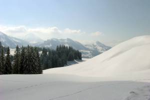 Winterwanderung Sparemoos