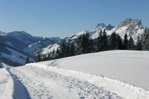 Jaunpass mit Gastlosen