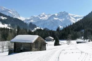 Winterwanderung Saanen - Gsteig