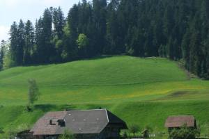 Wanderung Langnau - Trubschachen - Wiggen