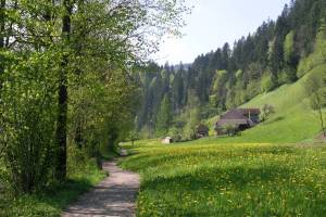 Wanderung Langnau - Trubschachen - Wiggen