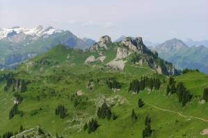 Schynige Platte