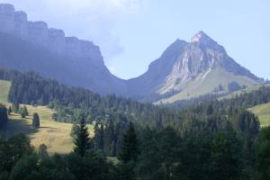 Sichle
