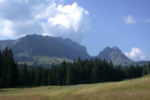 Naturschutzgebiet Rotmoos