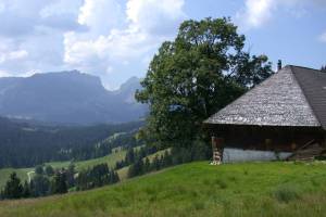 Wanderung Innereriz - Scheidzun - Babschwand