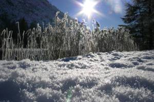 Raureif an der Simme