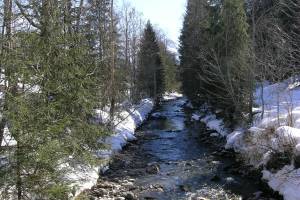 Winterwanderung Saanen - Gsteig