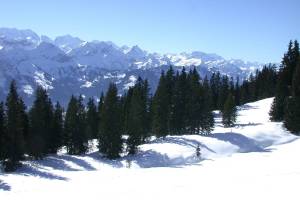 Winterwanderung Niederhorn - Waldegg