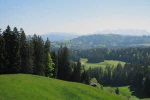 Wanderung Röthenbach - Heimenschwand