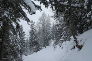 Winterwanderung Aminona - Colombire - Montana