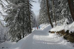 Winterwanderung Aminona - Colombire - Montana