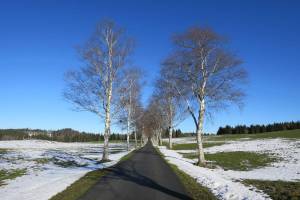 Winterwanderung Zugerberg