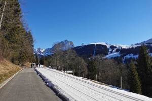 Winterwanderung Villars