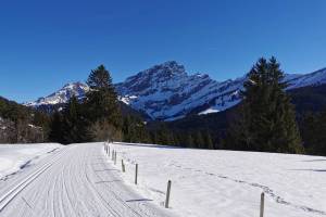 Winterwanderung Villars