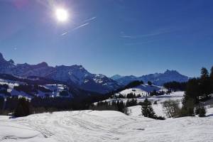 Winterwanderung Villars