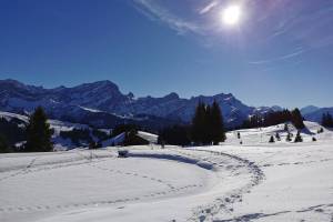 Winterwanderung Villars