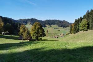 Oberhalb von Teuffenthal