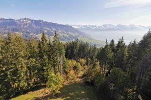 Aussichtsturm Blueme, Blick zum Sigriswiler Rothorn und zur Alpenkette