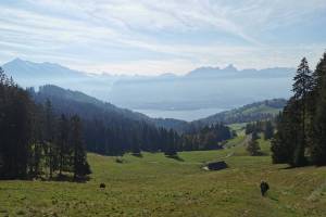 Oberhalb von Heiligenschwendi