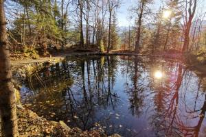Waldsee Hasliberg Hohfluh