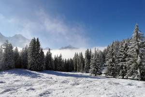 Winterwanderung Bussalp - Grindelwald