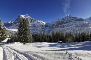 Winterwanderung Bussalp - Grindelwald